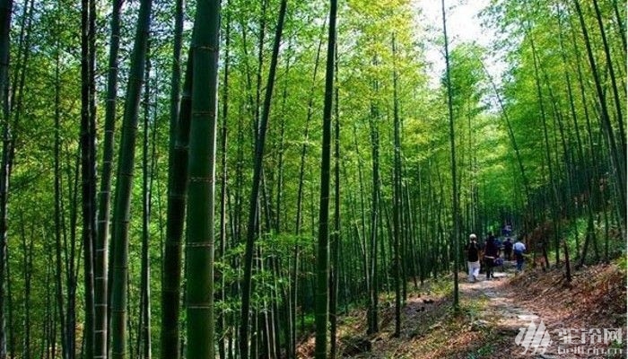 (5)11.15-16日 從化鶴之洲濕地 仙沐園蘇打溫泉 最美鄉(xiāng)村溪頭村-戶外活動圖-駝鈴網(wǎng)