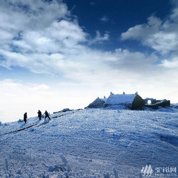 (7)元旦江西武功山人間仙境，冬季天上白色草原美景，看霧淞賞雪，觀云海奇觀-戶外活動(dòng)圖-駝鈴網(wǎng)