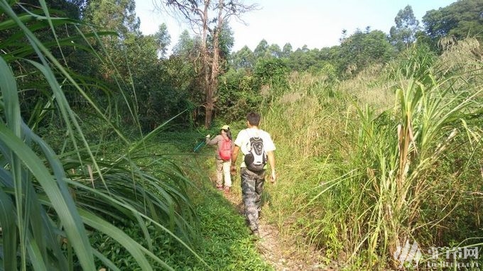 (1)參加有禮 周六中午六片山穿越！永泰->大源，遇見“天池”-戶外活動圖-駝鈴網(wǎng)