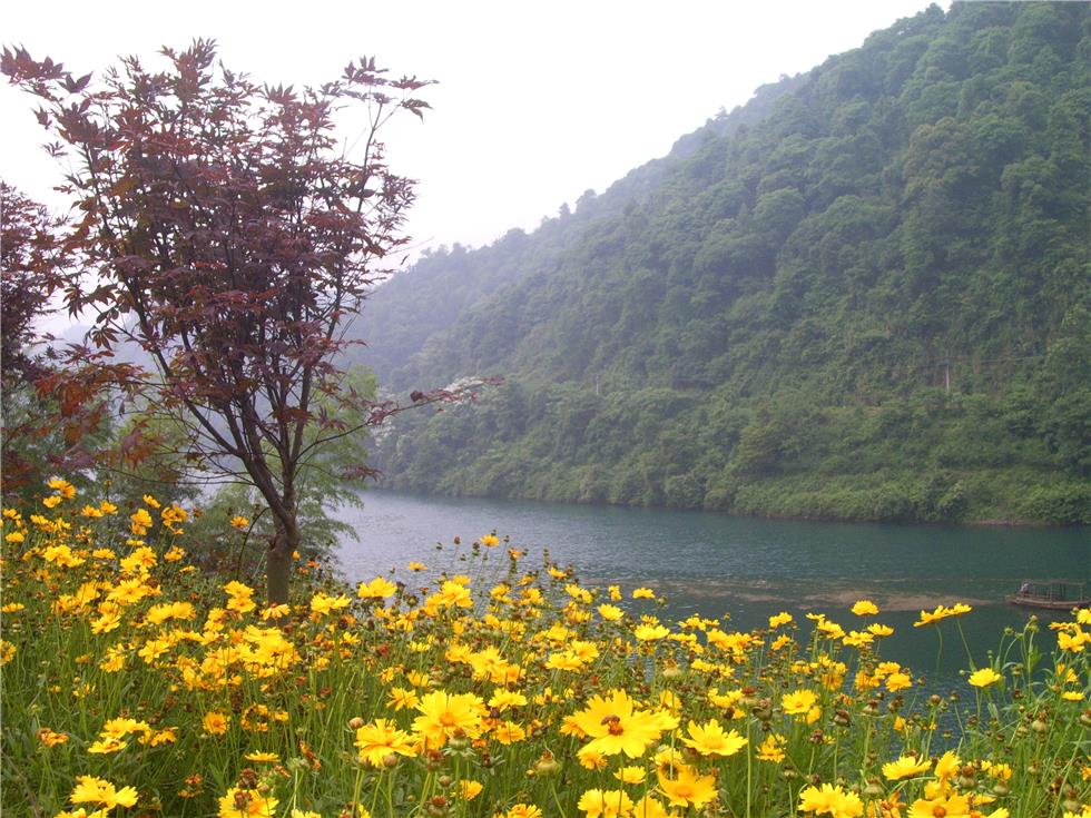 (8)湖南【小東江】【小東江深山原始森林古道】徒步、攝影二天游-戶外活動(dòng)圖-駝鈴網(wǎng)