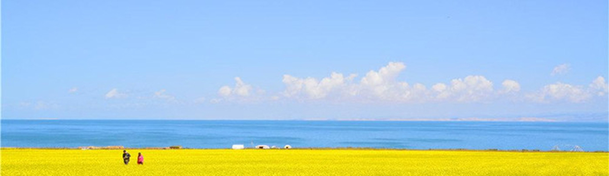 大美青海，中國最美的夏天在這里!